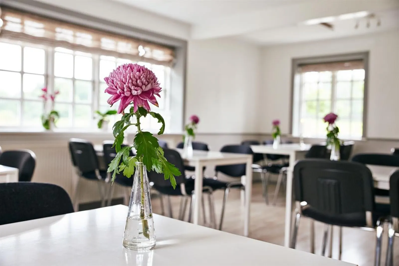 Danhostel Rebild
