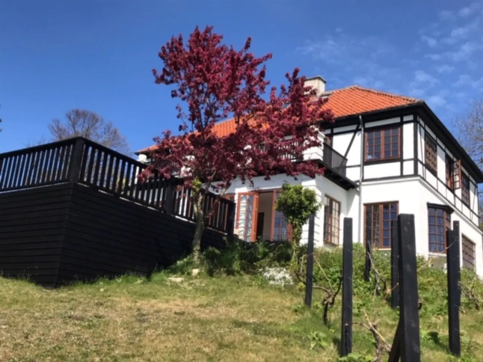 Dansebjerg, foto 4