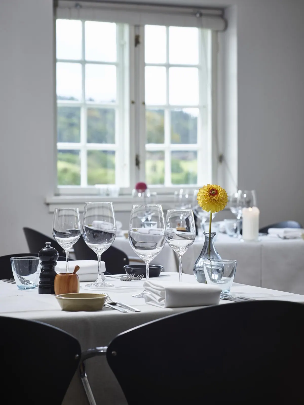 Haraldskær Sinatur Hotel & Konference, foto 2