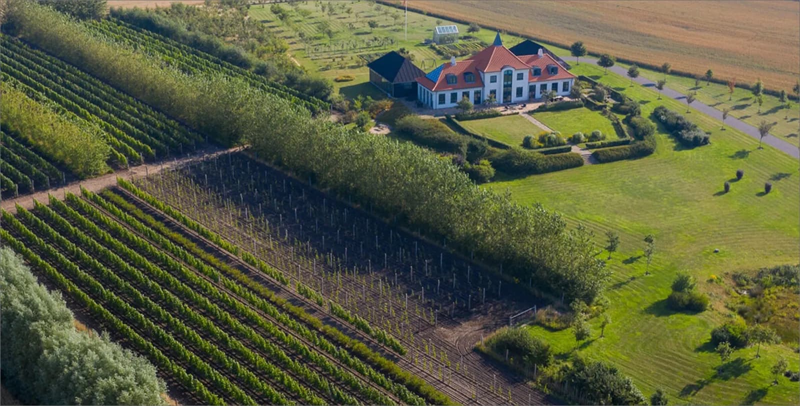 Nygårdsminde Vingård