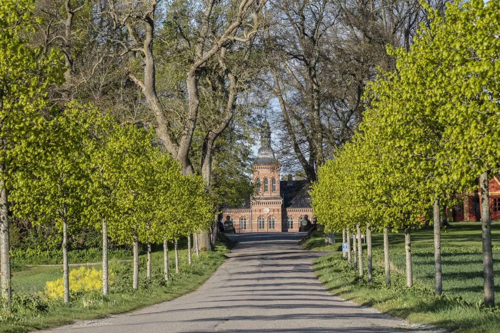Rosenfeldt Gods (Magasinbygningen), foto 3