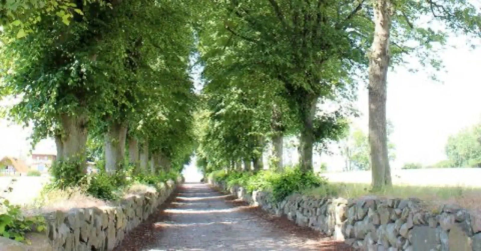 Frederiksberg Herregaard (Hjortholm Gods), foto 2