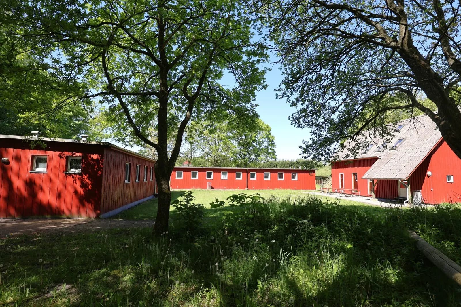 Glant Camp, foto 3