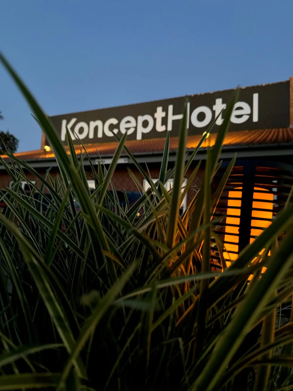 KonceptHotel, foto 2
