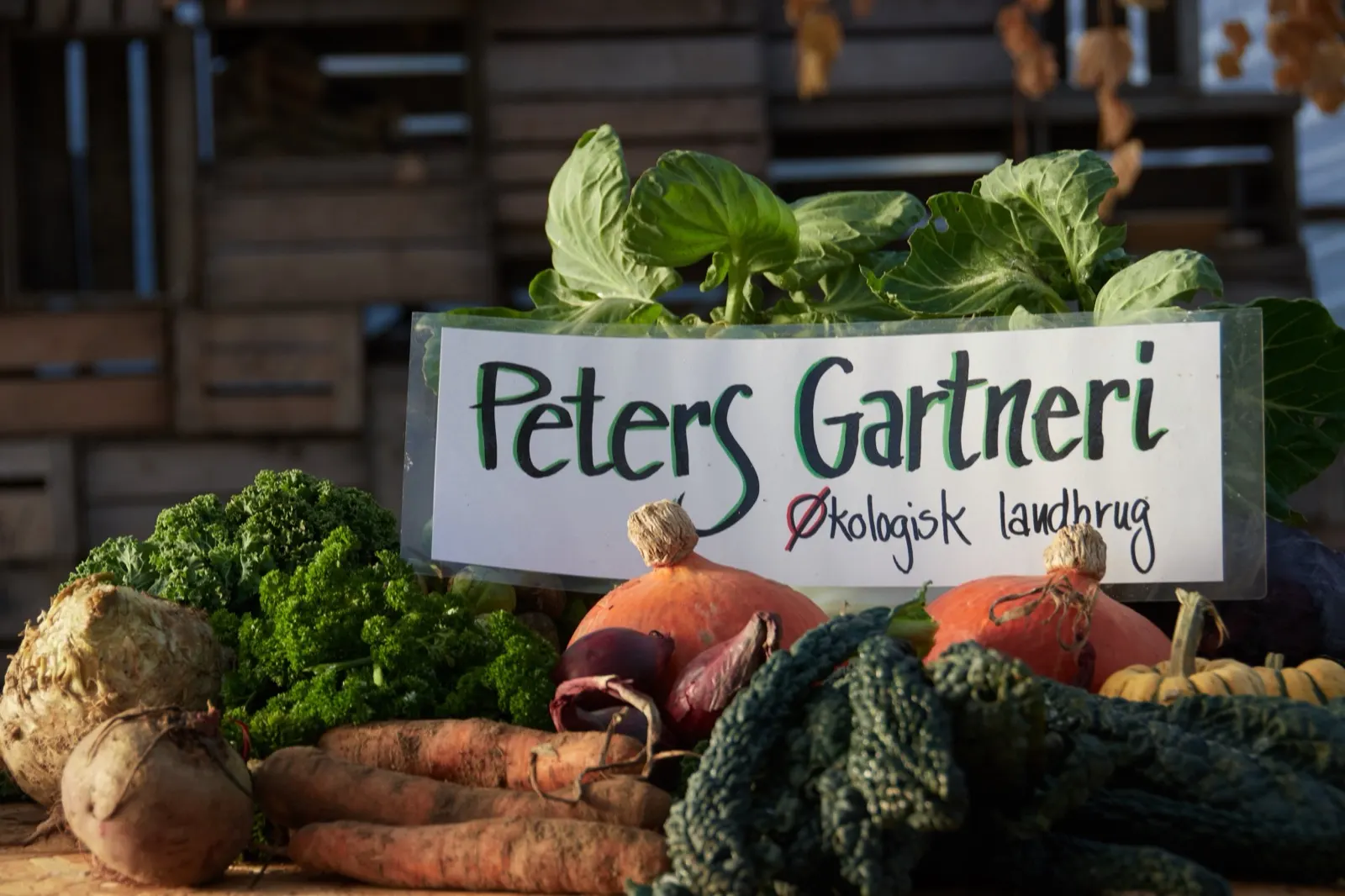 Peters Gartneri