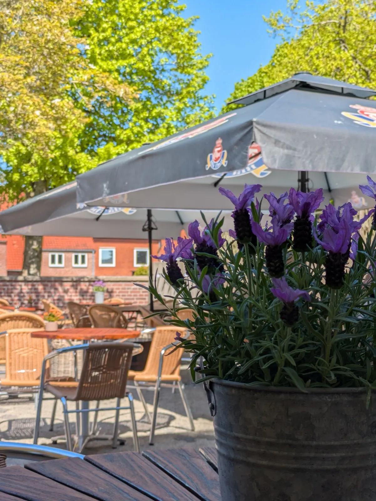 Restaurant Backhaus, foto 2