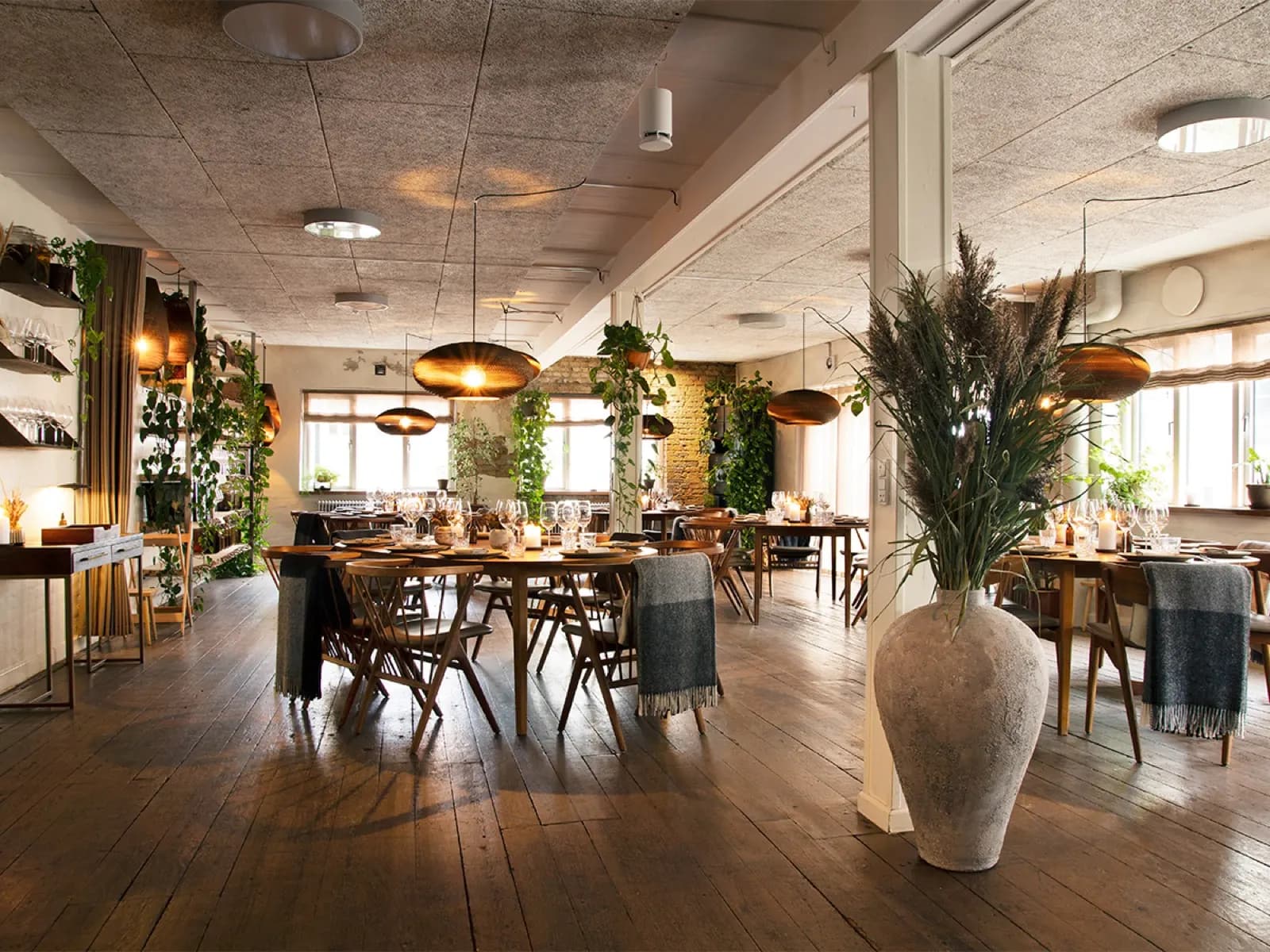 Restaurant Domestic, foto 2