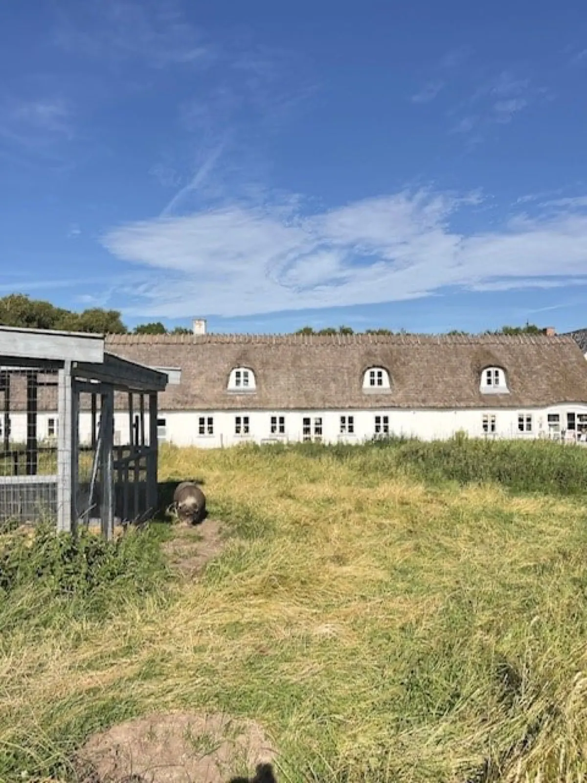 Sankt Helene, foto 3