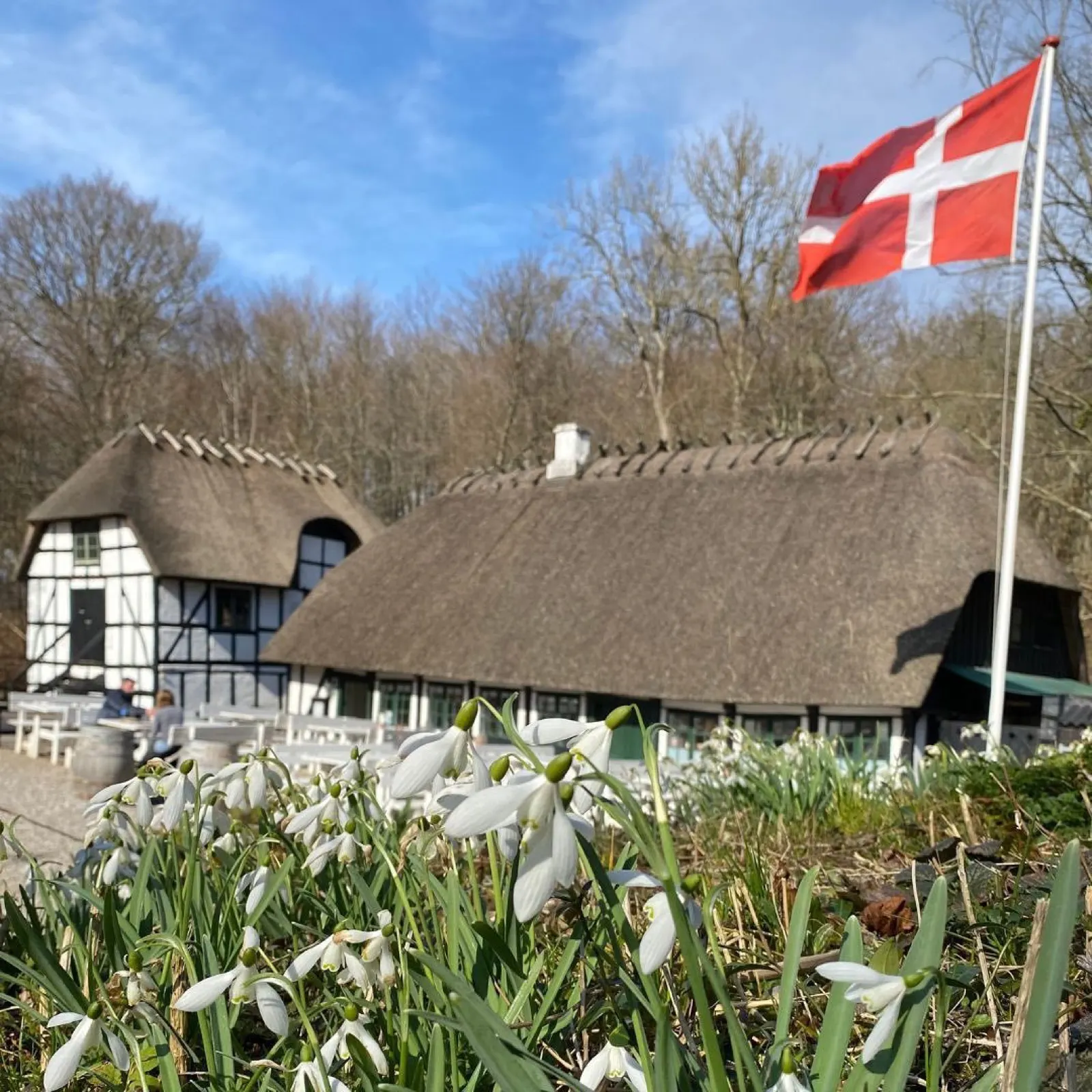 Skovmøllen Moesgaard, foto 2