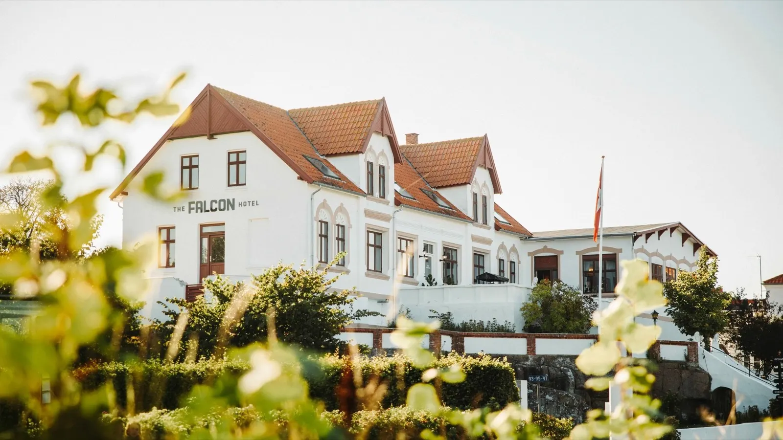The Falcon Hotel, foto 5
